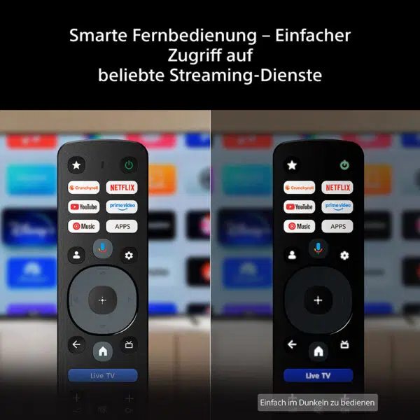 Sony BRAVIA 6 Serie Fernbedienung Sony BRAVIA 6 Serie Fernbedienung