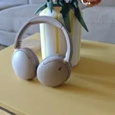 Sony WH-CH730N an Blume angelehnt