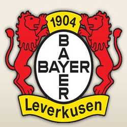 Profilbild von BayerBest