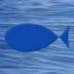 Profilbild von bluefish