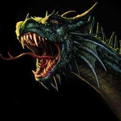 Profilbild von Drache