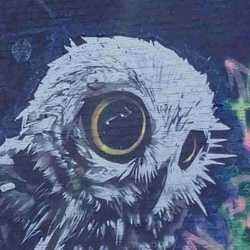 Profilbild von Matteo