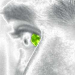 Profilbild von Madtrick
