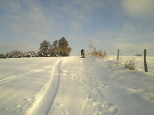 Kommentarbild von Wiesel83